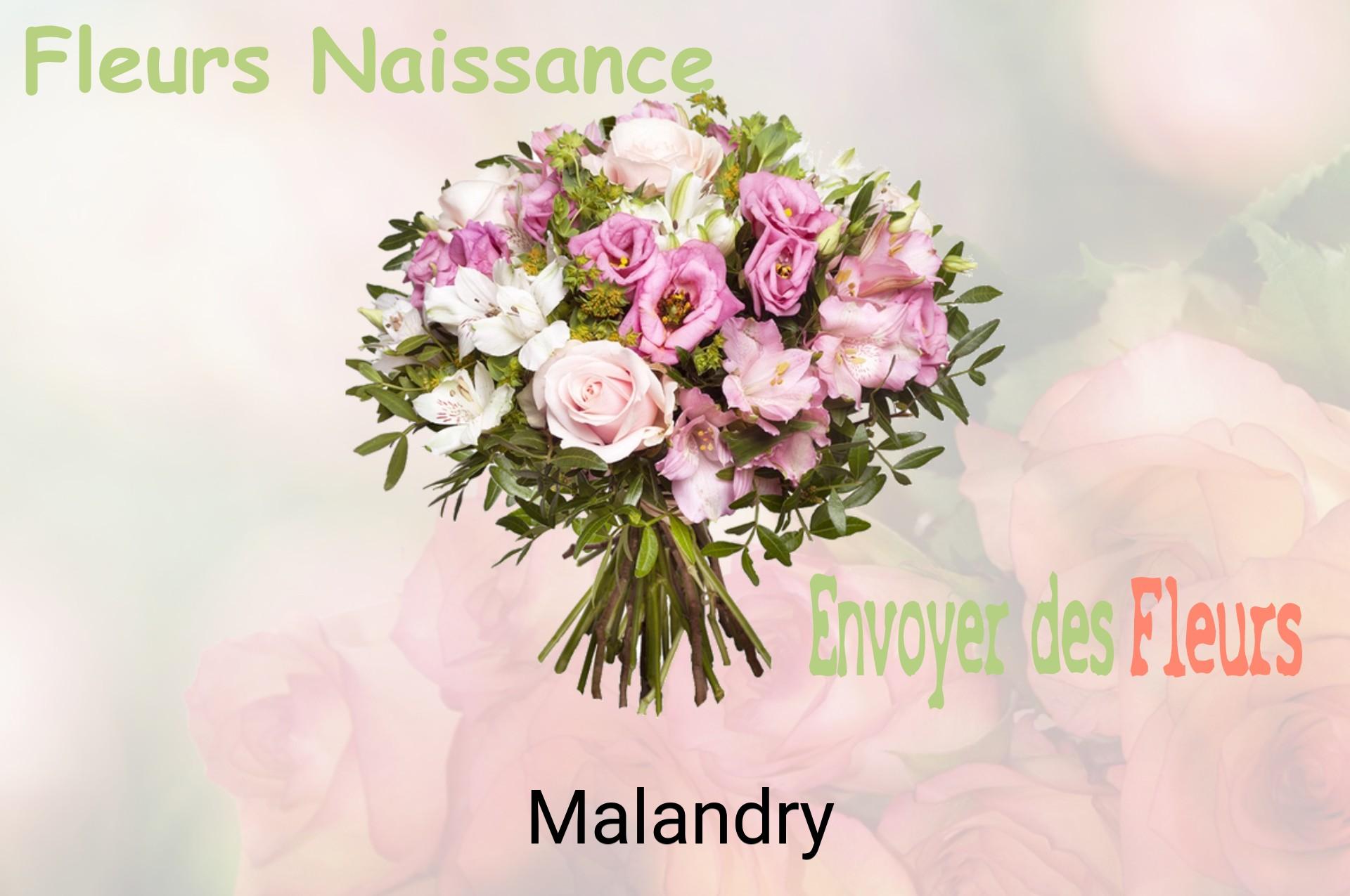 Bouquet de fleurs de naissance livré à Malandry
